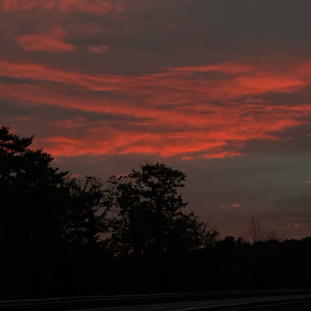 Meet your Posher, Alondra